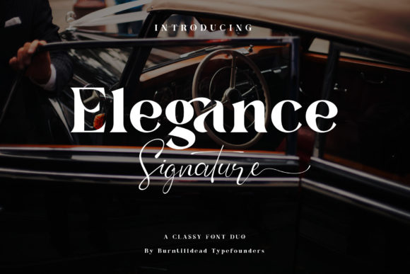 Elegance Signature: Where Serif Meets Script